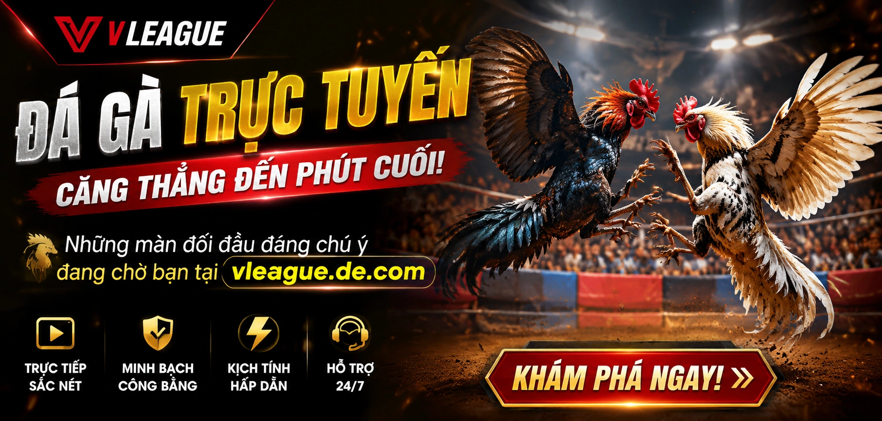 Trải nghiệm đá gà online trên mobile